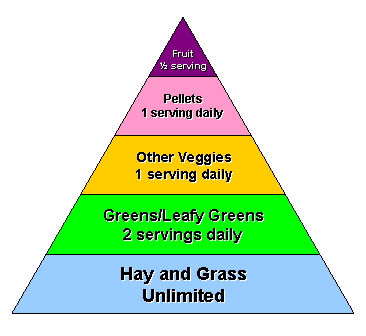 five food groups chart. pigs 5 major food groups