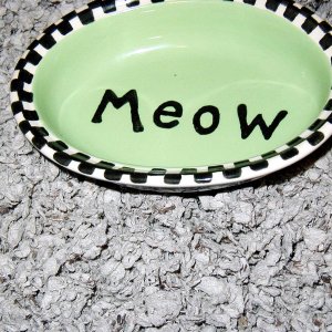 Meow food dish