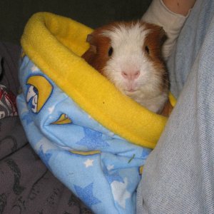 Cletus in his new sleeping bag