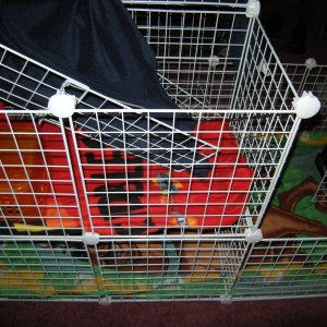cage model design