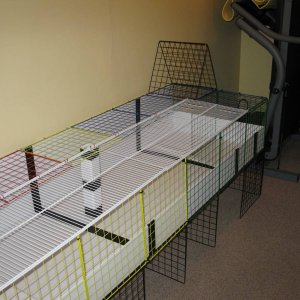 2 x 6 Cavy Cage for 2 piggies