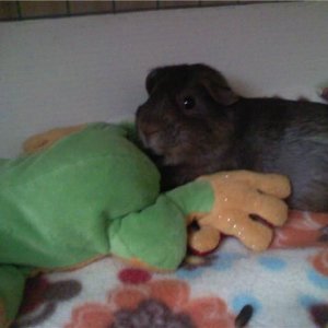 Bailey snuggling with frog