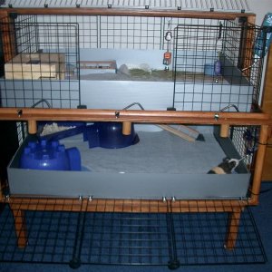 Cage in use