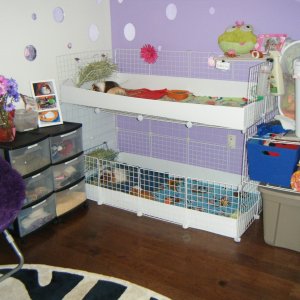 Improved Cages with Storage on Side.