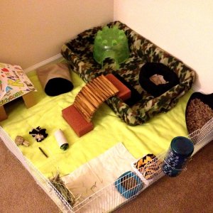 play pen cage set up