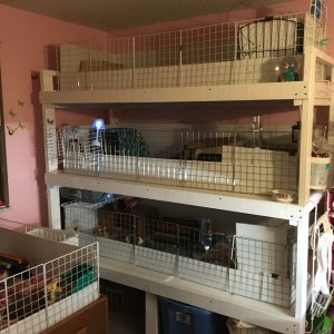 2X5 single level homes (cages) fleece 2x4 and aspen kitchen area 1x2