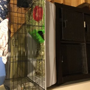 Pleas help with my friends cage!
