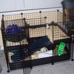 My C&C cage