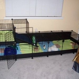 There even newer cage