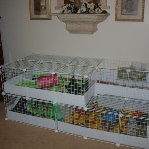 My First Cavy Cage