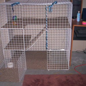 marshellow and pumpernickel's cage