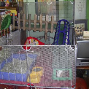 front vewi of new cage