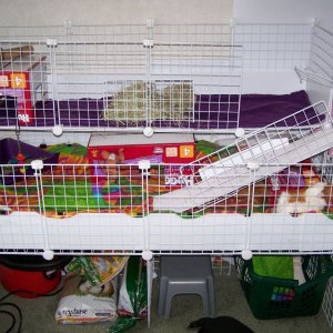 Open cage with loft
