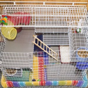 Updated Homemade Rat Cage - View with Cage Open