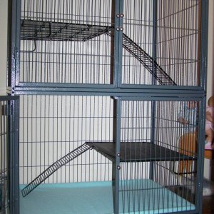 Wicked's Rat Cage