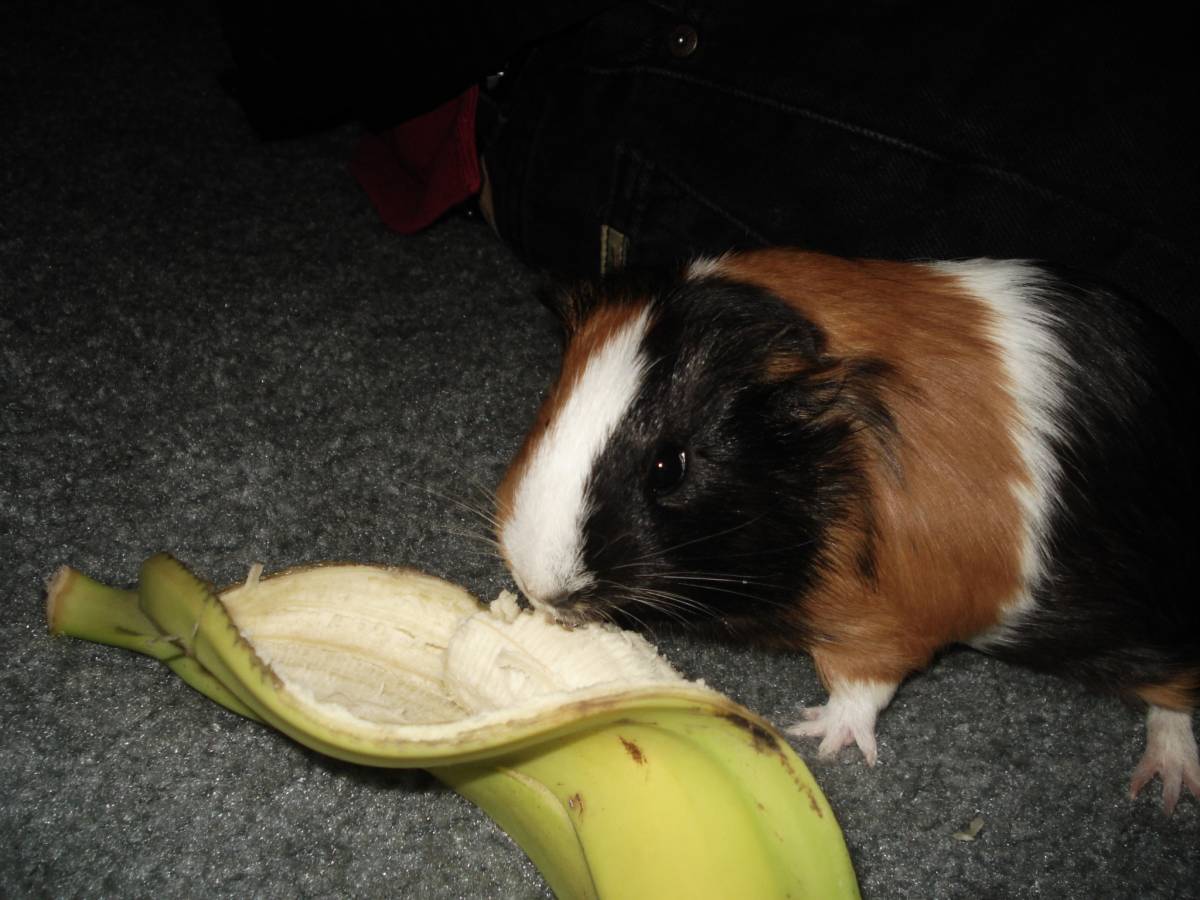 BB and her Banana