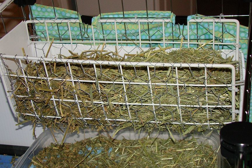 Hay rack out of bent grid &amp; chicken wire