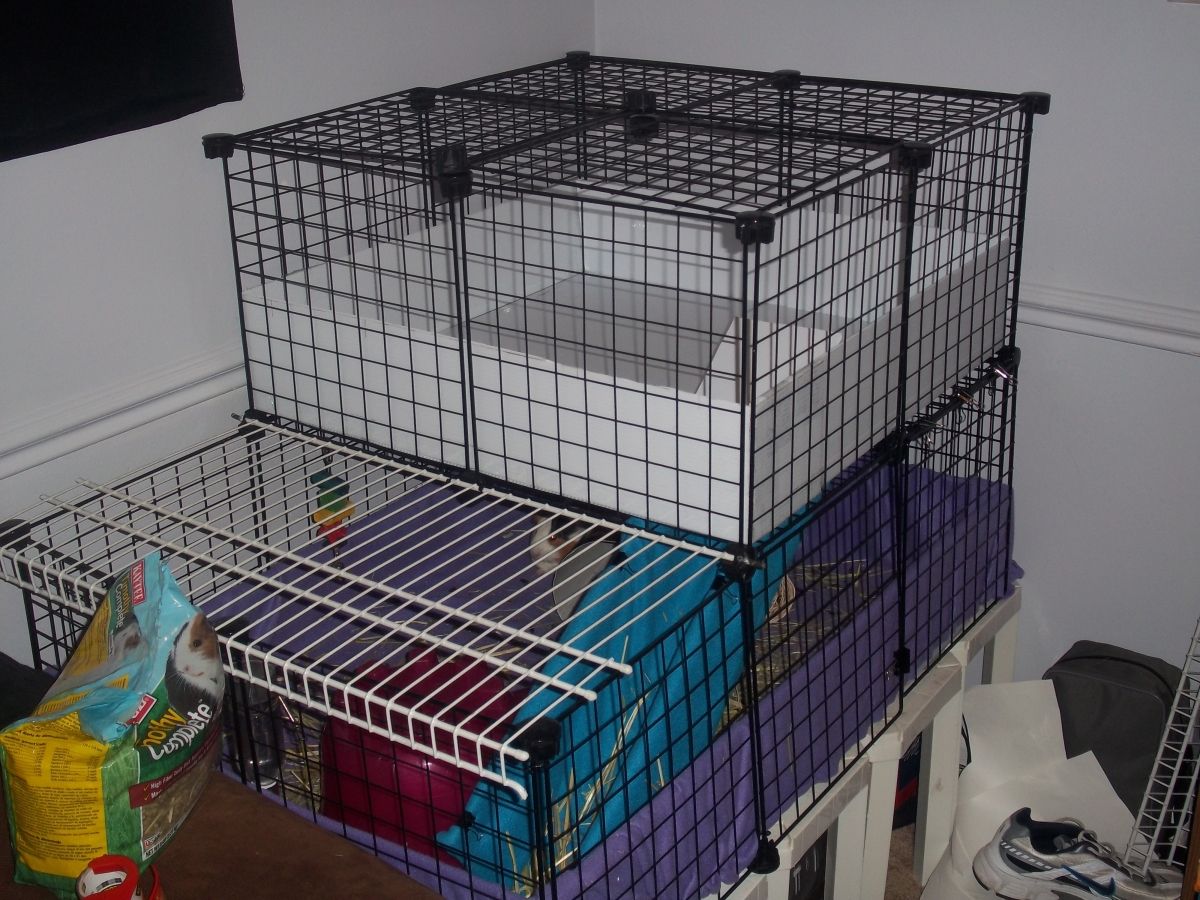 My first attempt at a C&amp;C cage for my 2 piggies