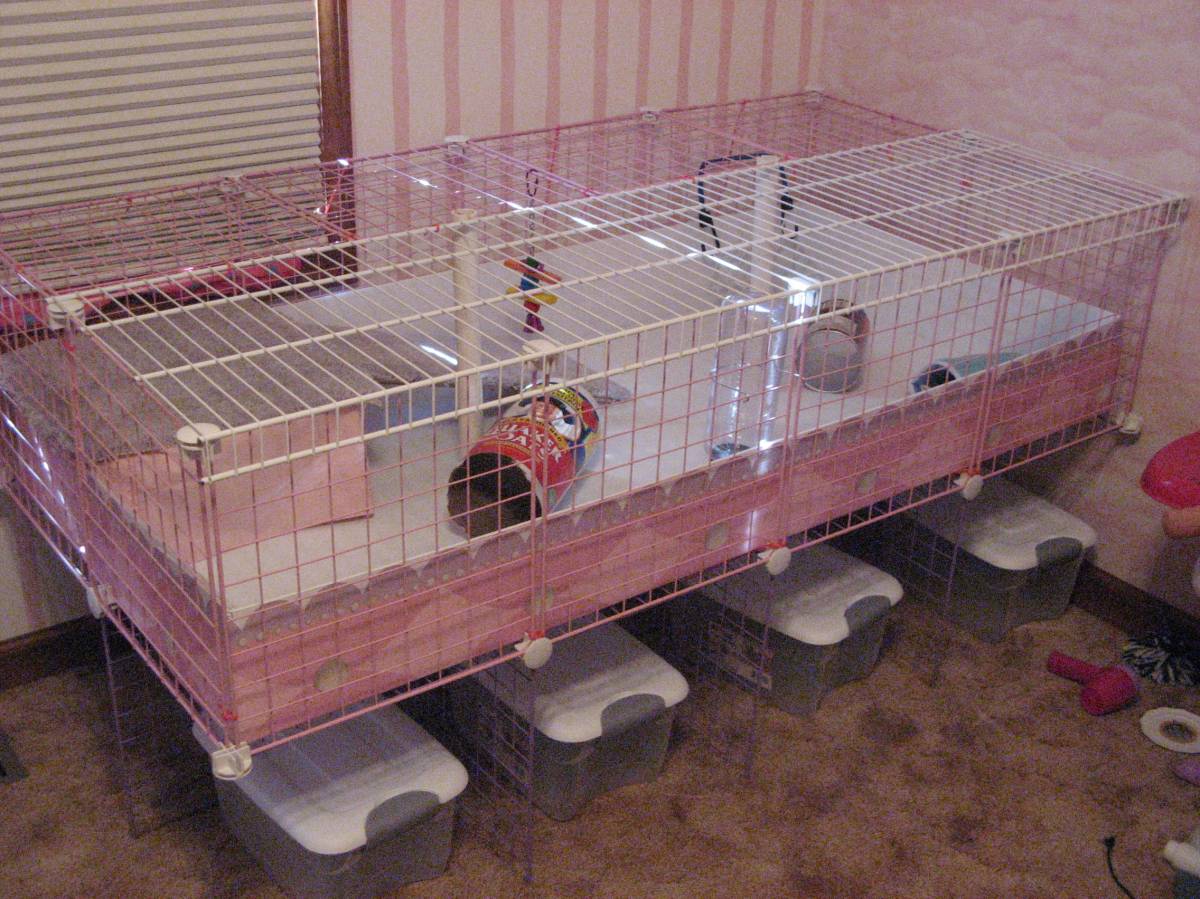 My &quot;Princess&quot; cage