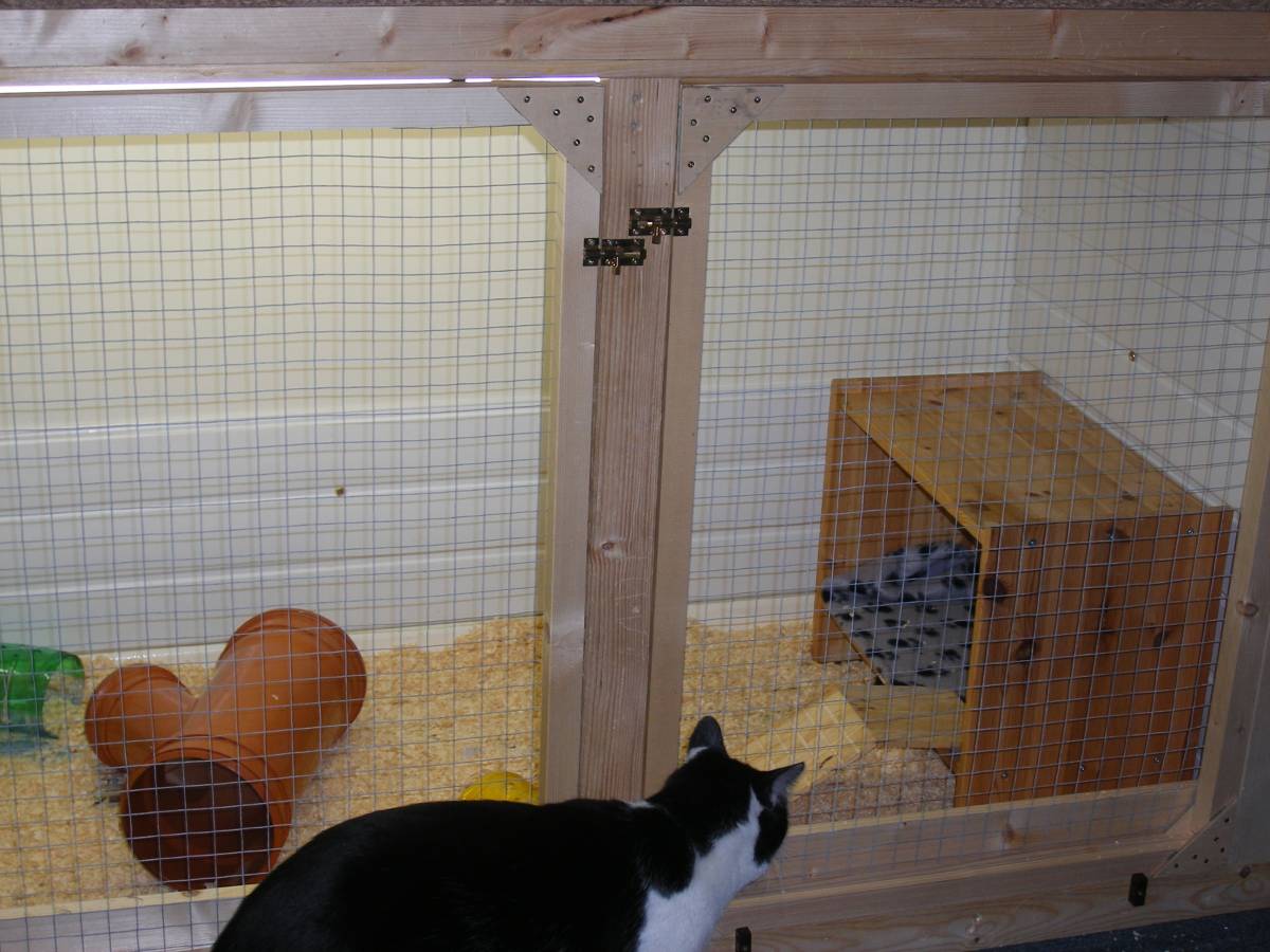 New cage pic 3