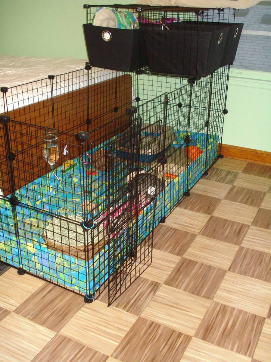 Norman's cage