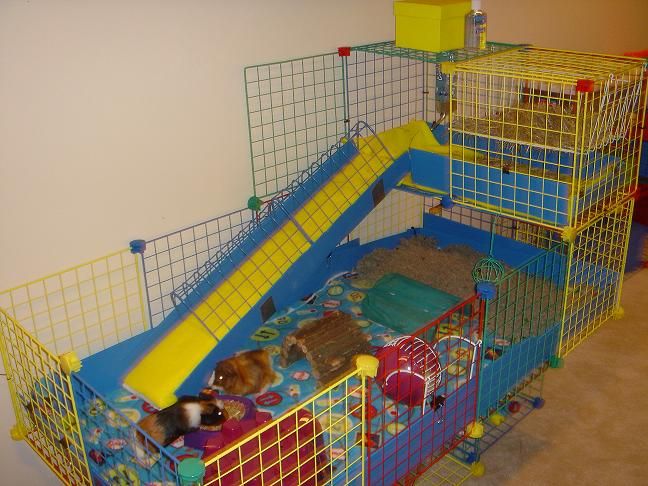 Playground for Punkin & Patches