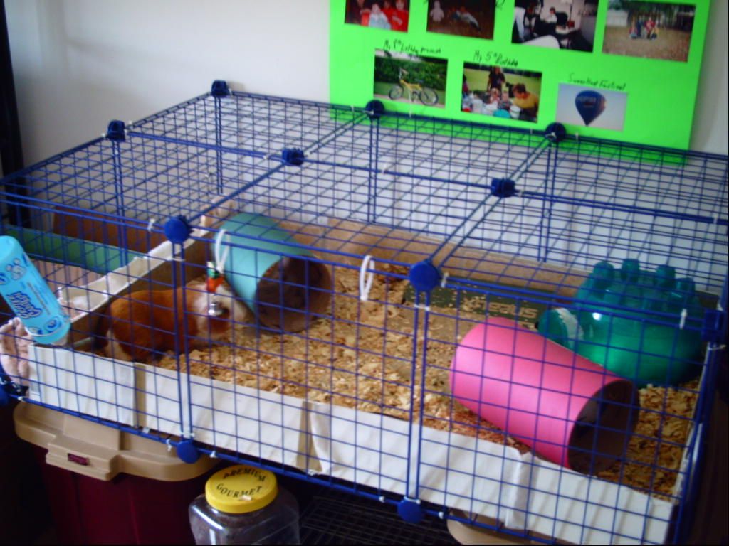 Smores New Cage