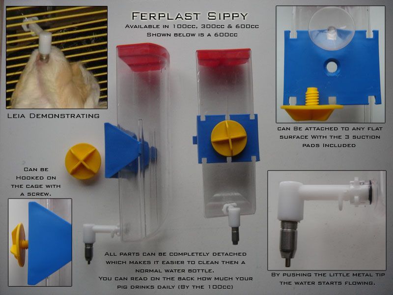 Ferplast Sippy Water Bottle. - Guinea 